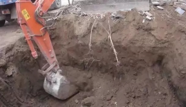【案例】北京自建帶花園的中式別墅，精致豪華人人羨！